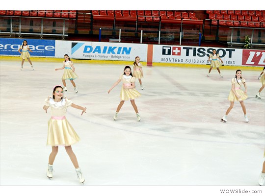 JNE_0785